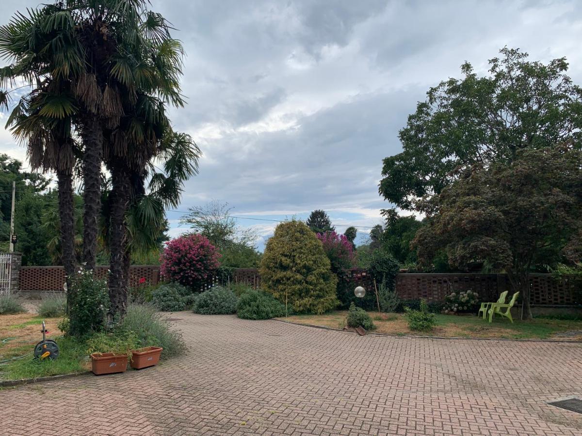 Bouganville Вивероне Екстериор снимка