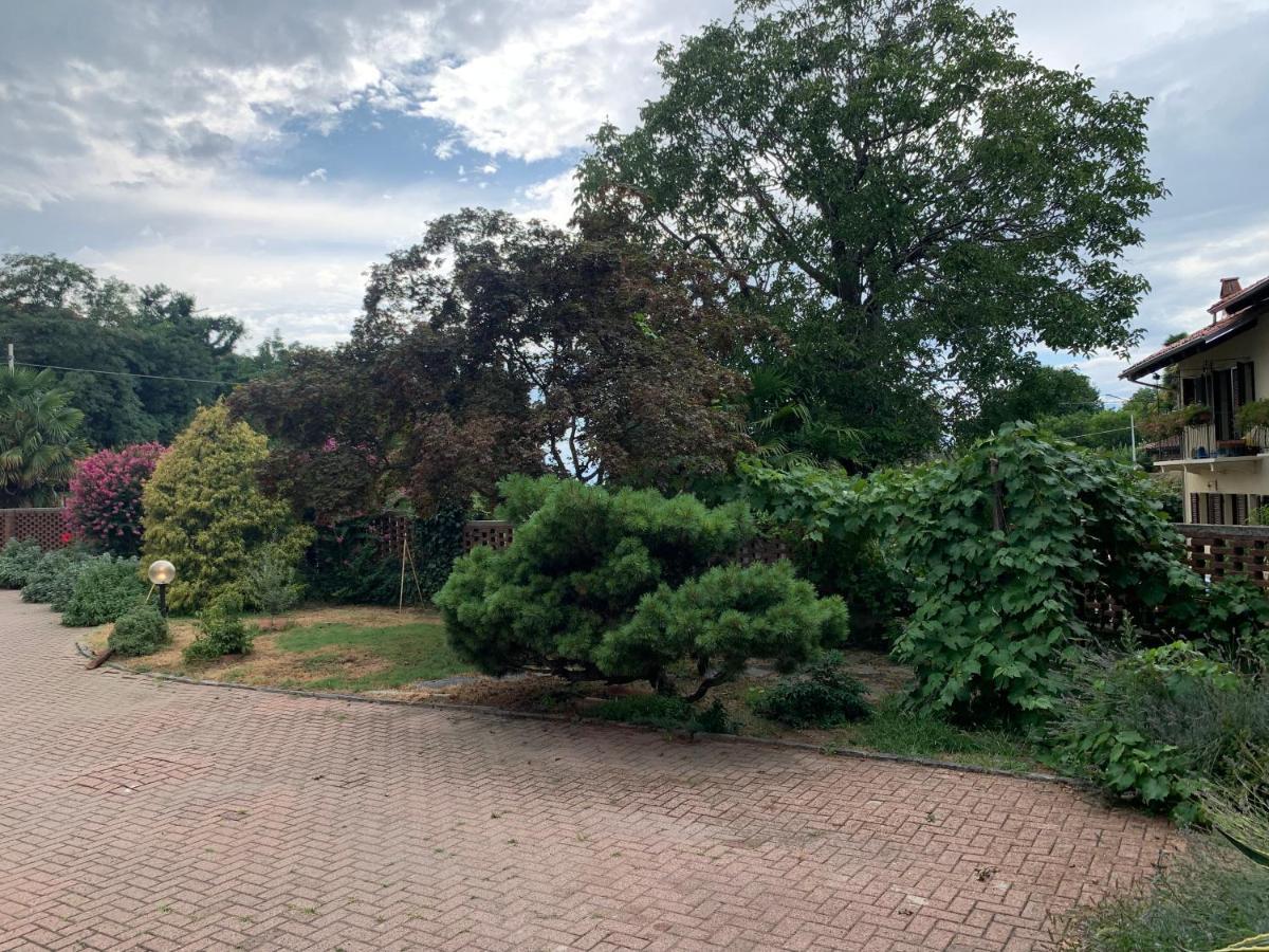 Bouganville Вивероне Екстериор снимка