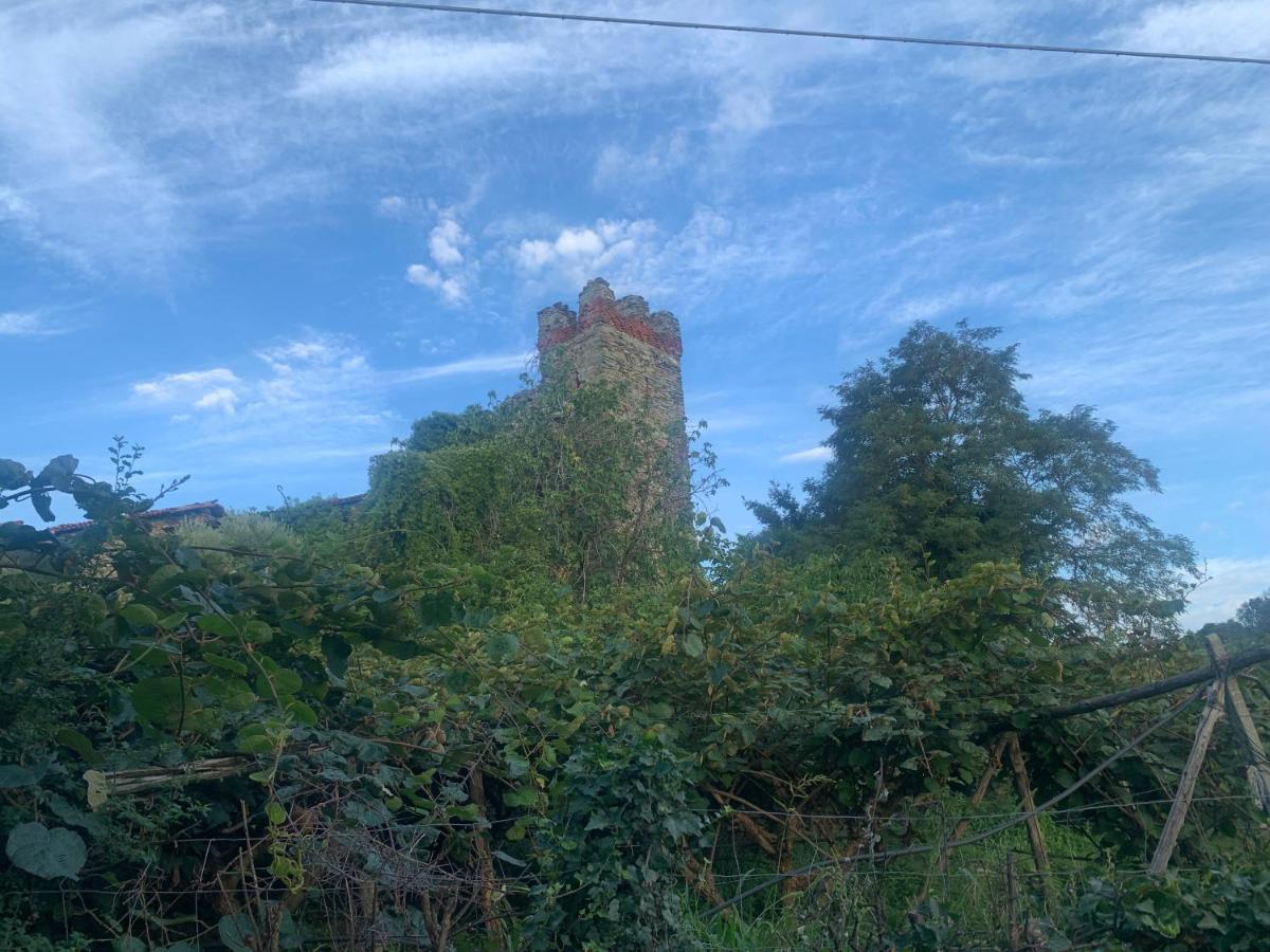 Bouganville Вивероне Екстериор снимка